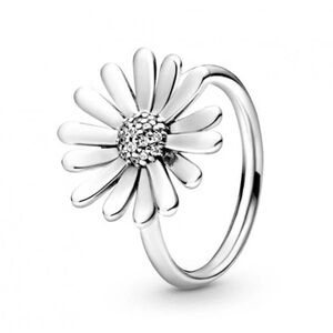 Pandora Silver Ring